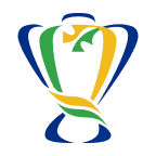 Copa de Brasil