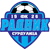 team-logo