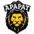 team-logo