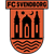 team-logo
